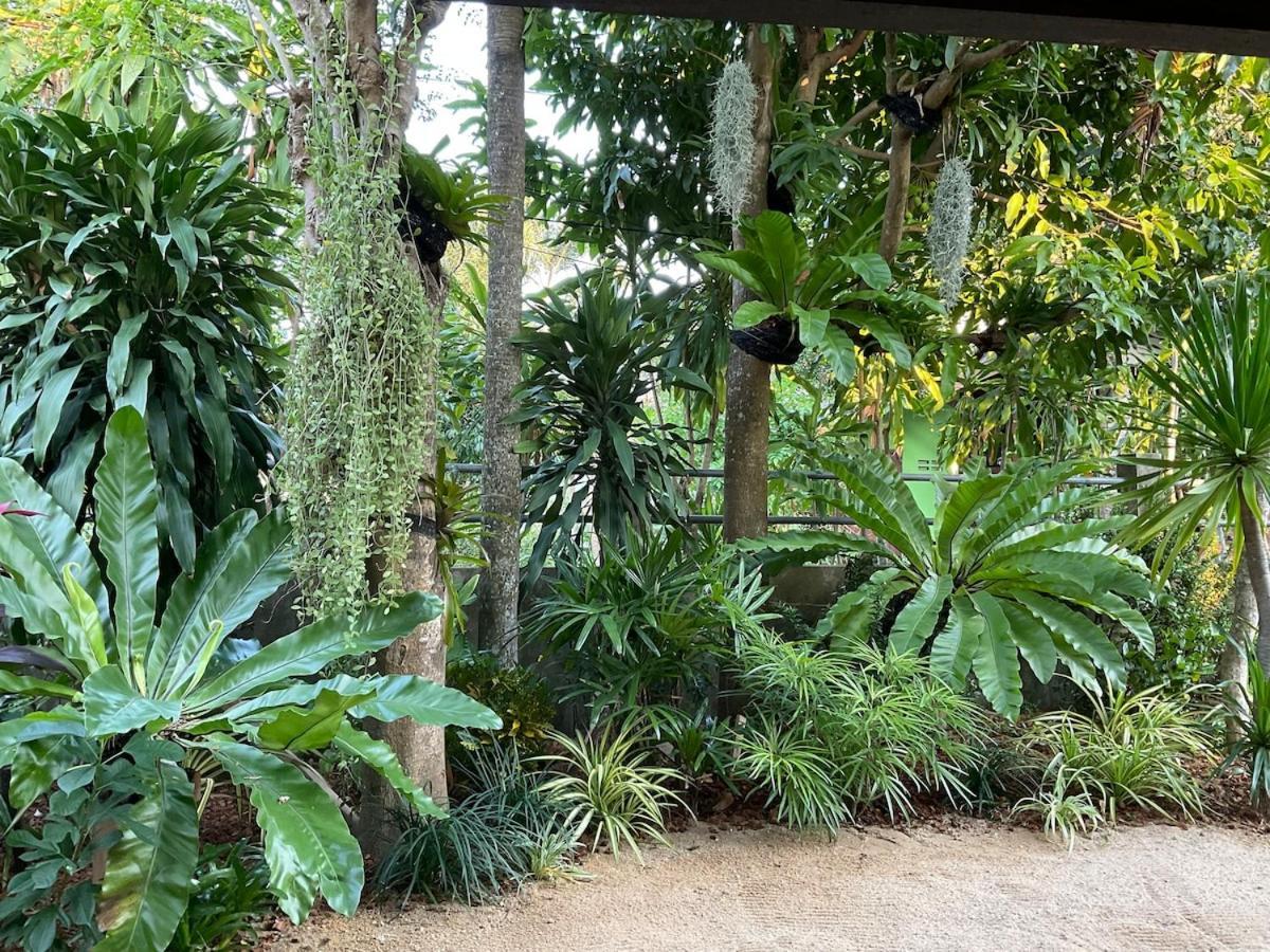 Vakantiehuis Boutique - Steps To